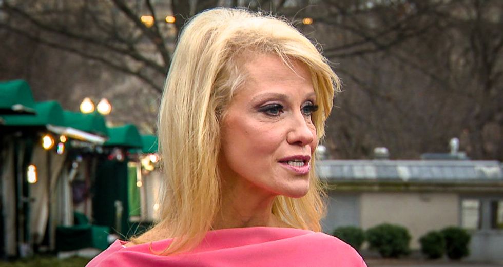 Kellyanne Conway says Trump has given up ownership of government shutdown: 'He doesn't own the shutdown any longer'