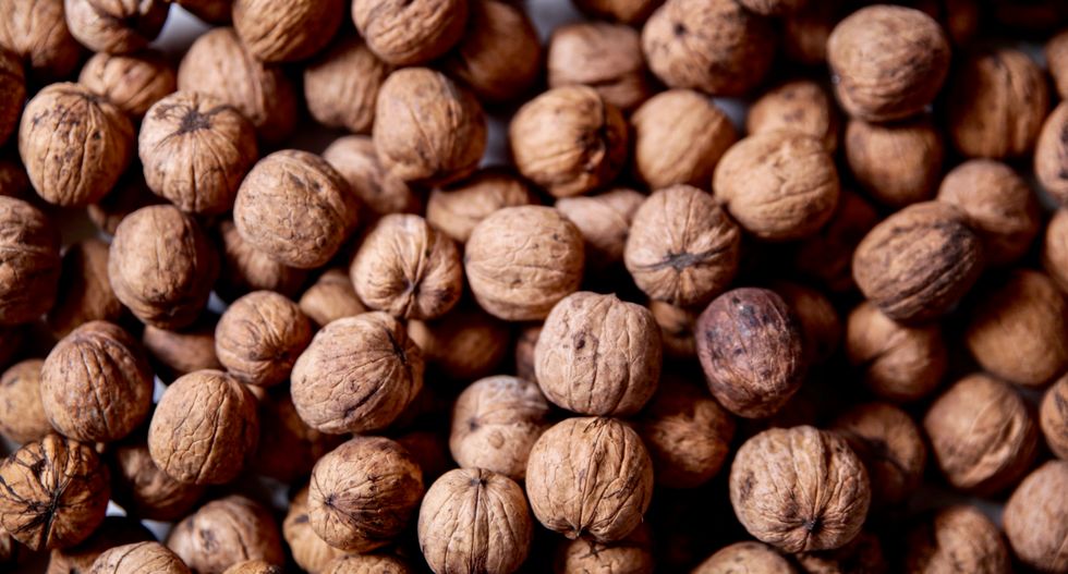 Nuts may boost male fertility: study