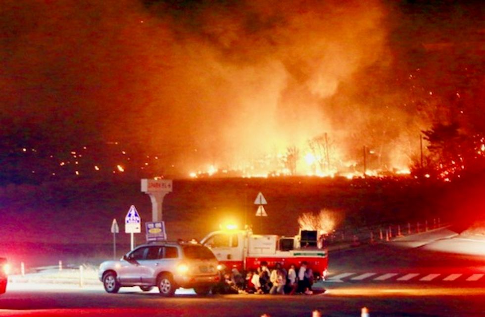 Seoul declares national disaster as winds fan giant forest fire