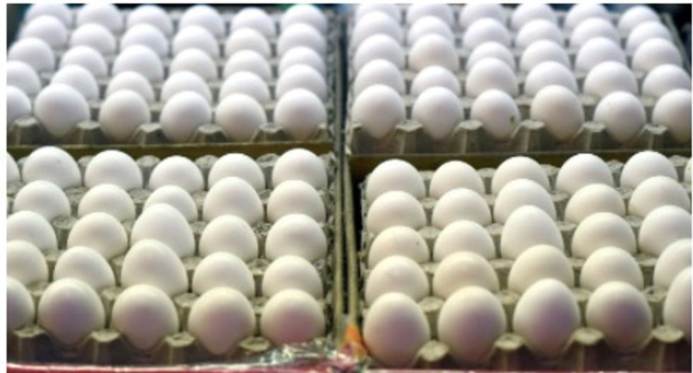 Cracking discovery: Japan scientist uses egg white for clean energy