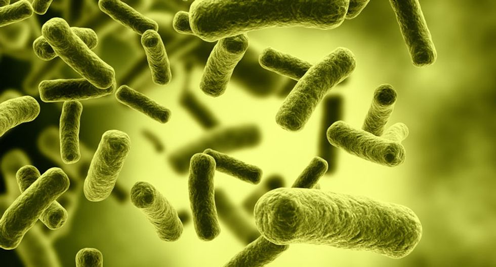 Antibiotic-resistant 'superbug' bacteria evolve in waste water -- and could end up in our food