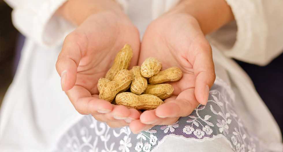 Eating peanuts early could prevent allergy in infants