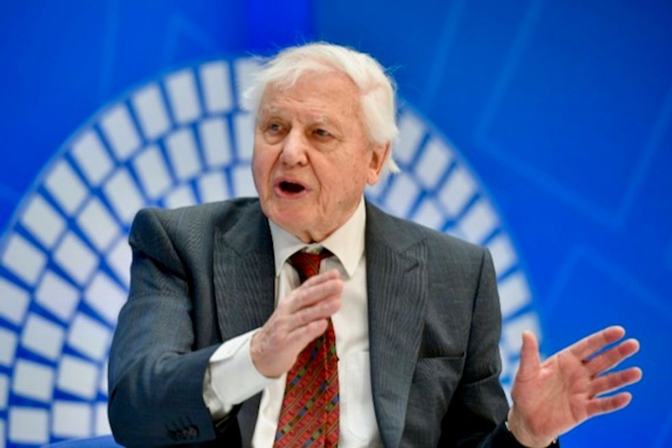 Do not waste nature's 'capital': David Attenborough