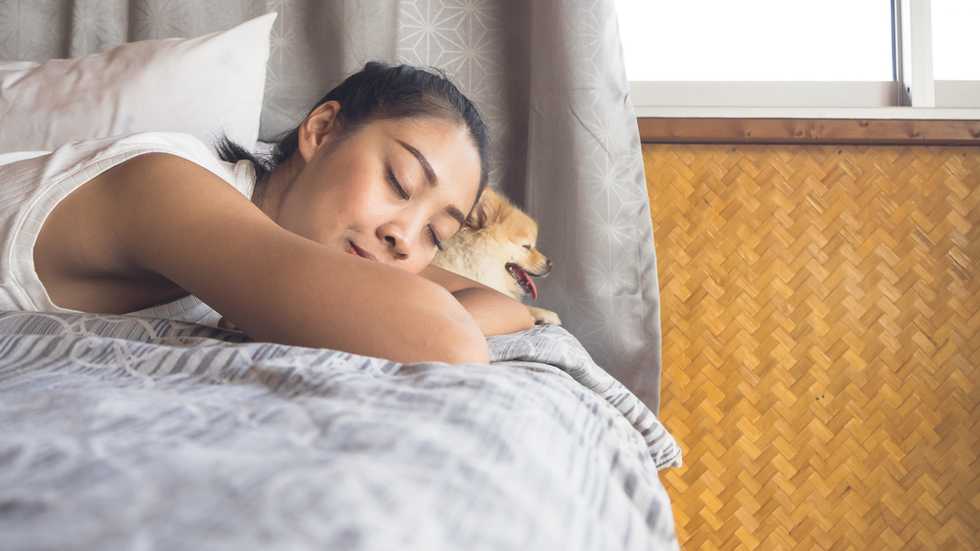 Regular afternoon naps sharpen your mind and help preserve your memories