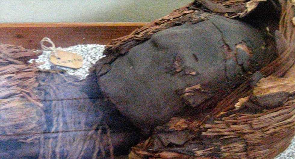 Scientists rush to stop 'accelerated' decaying of 7,000-year-old Chilean mummies
