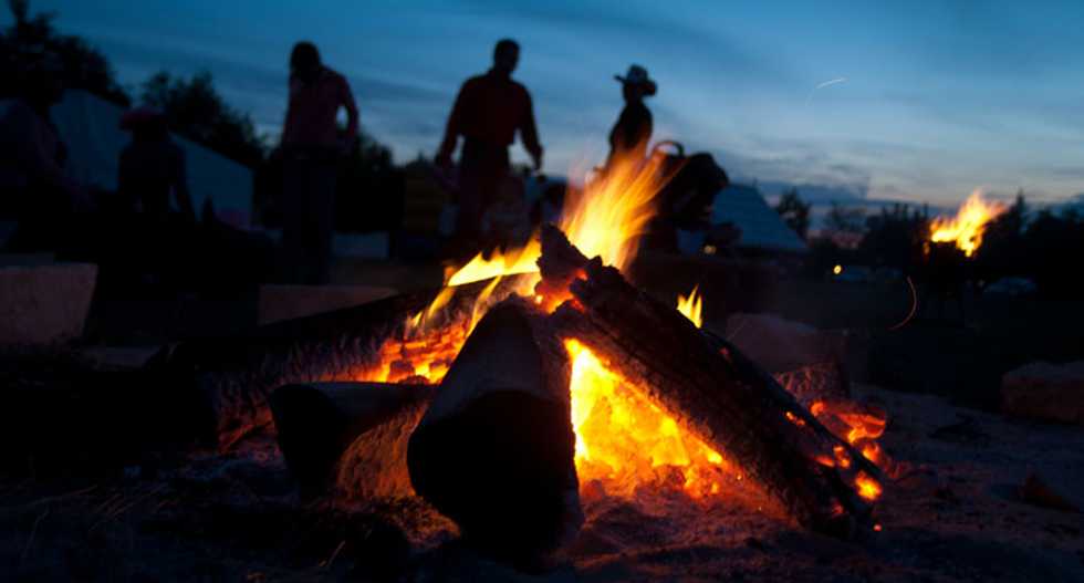 Is wood better than coal for carbon emissions?