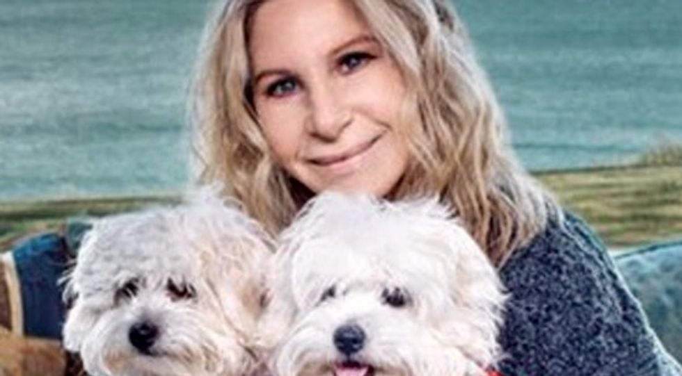 Barbra Streisand says she cloned her dog -- twice