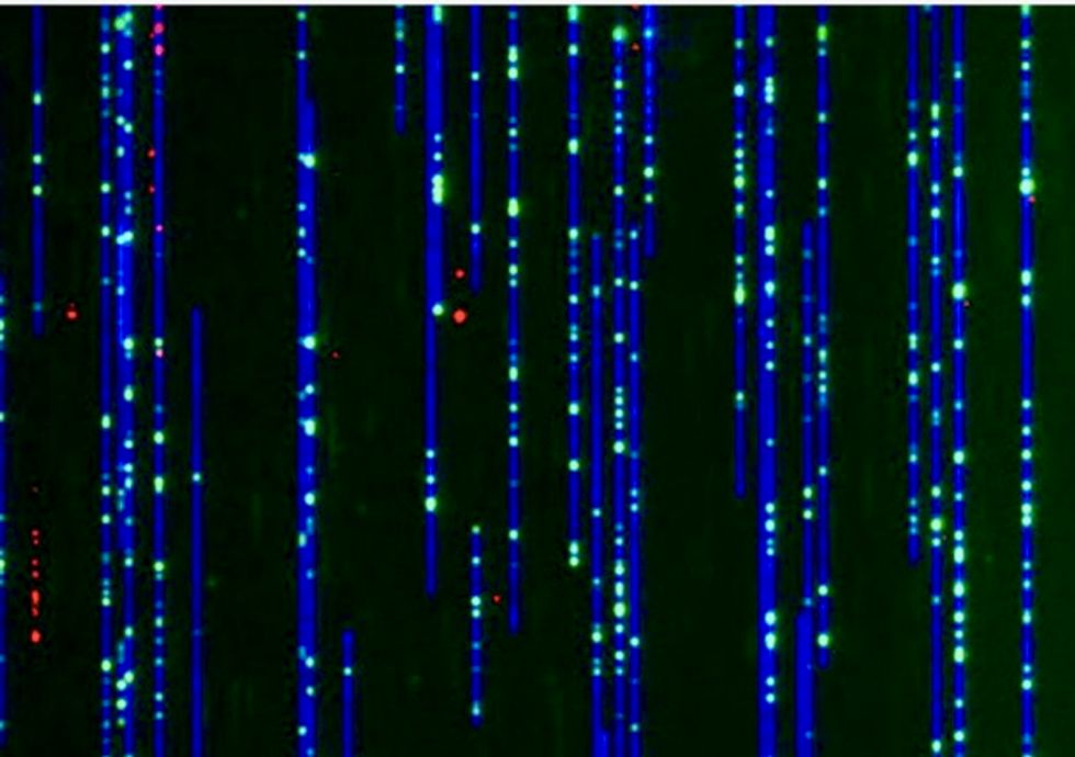 DNA as you’ve never seen it before, thanks to a new nanotechnology imaging method