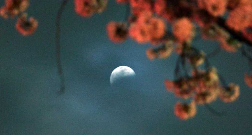 Pacific Rim sky-gazers witness 'unusually brief' lunar eclipse