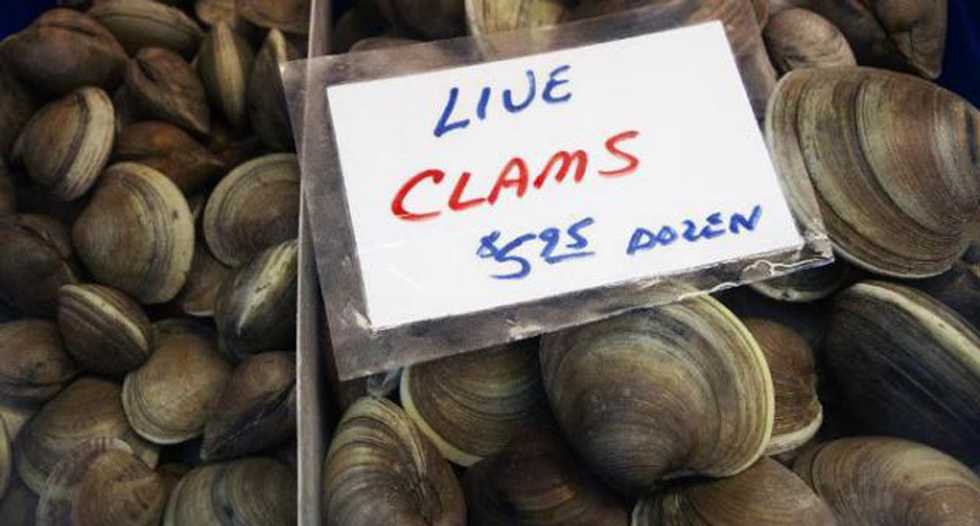Unusual contagious cancer spreads among clams off North American coasts