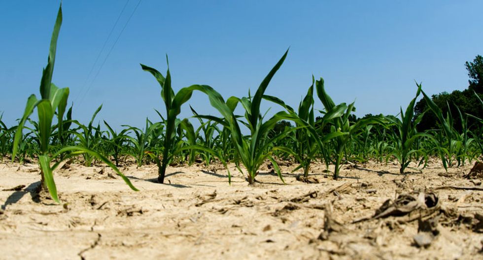Prominent environmental activist slams CA drought truthers: ‘These people are so f*cking stupid’