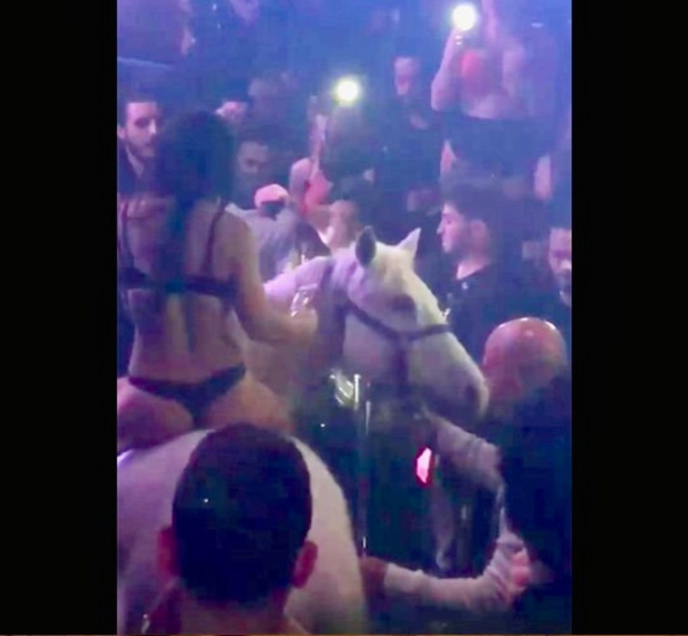 Horse, spooked on Florida dance floor, throws off semi-naked rider