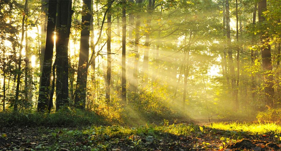 Native American groups say Michigan land sale to Canadian mining co. violates 1836 treaty