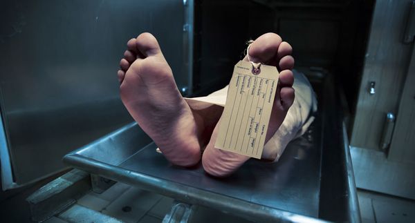 This is what science says happens to your body after you die