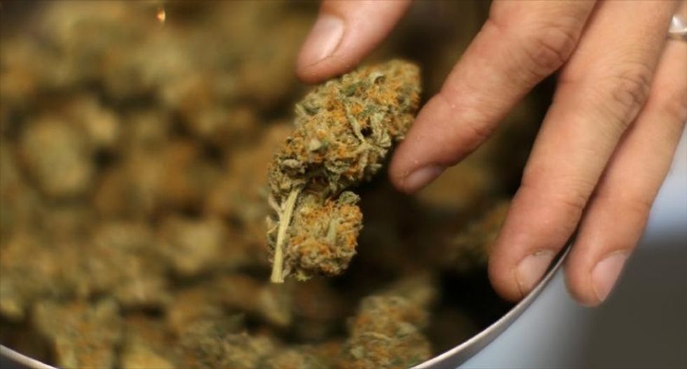 Maine court clears way for ballot initiative to legalize marijuana