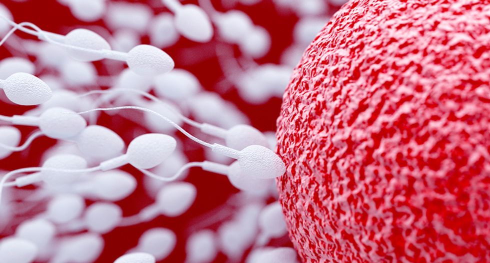 Sperm grown in lab for the first time ever