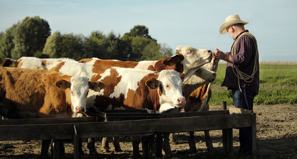 Map reveals where Trump voters are being hit hardest by his trade war flop