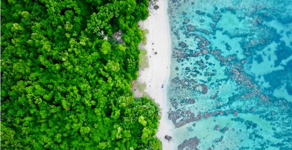 El Niño has rapidly become stronger and stranger, according to coral records