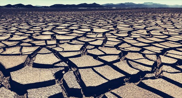 Californians urged to rip out their lawns: 'This is about the future we need'