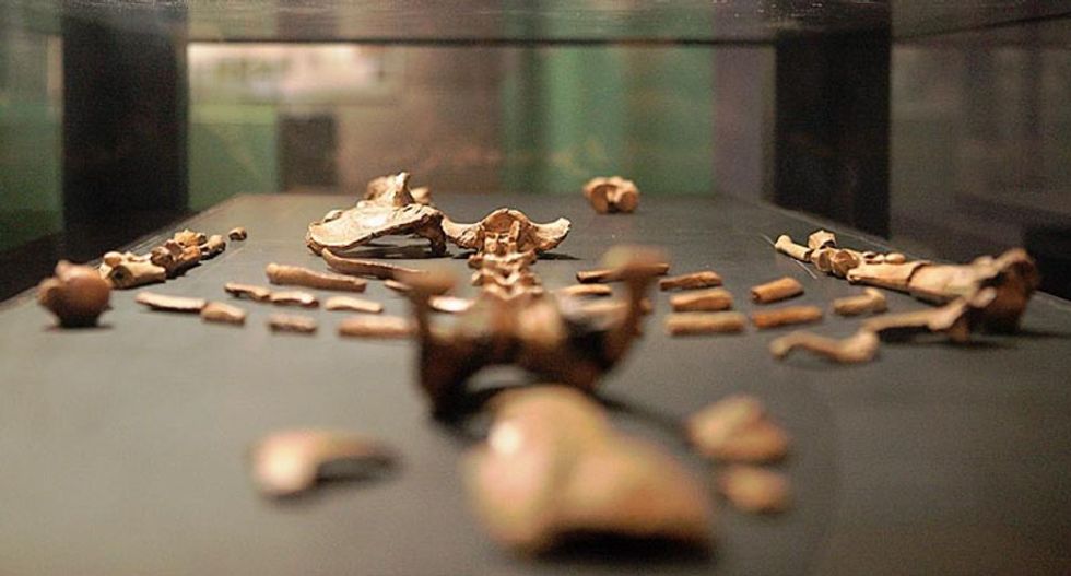 Human ancestor Lucy spent much of her time in trees: study