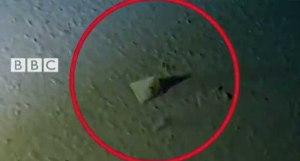 The deepest submarine dive in human history made a depressing discovery