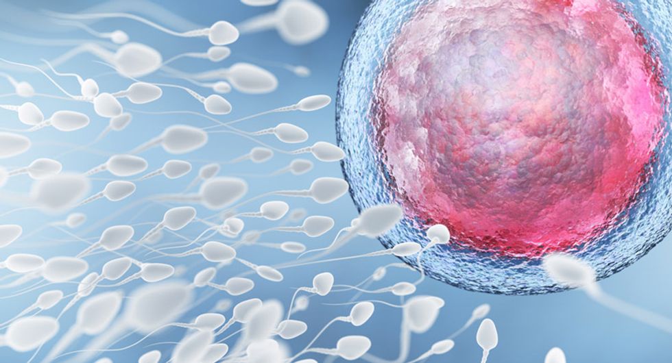 Huge drop in men's sperm levels confirmed by new study – here are the facts