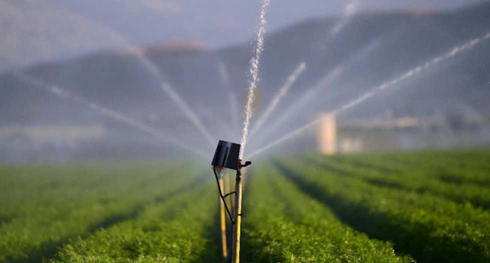 Earth's groundwater being drained at rapid rate: studies