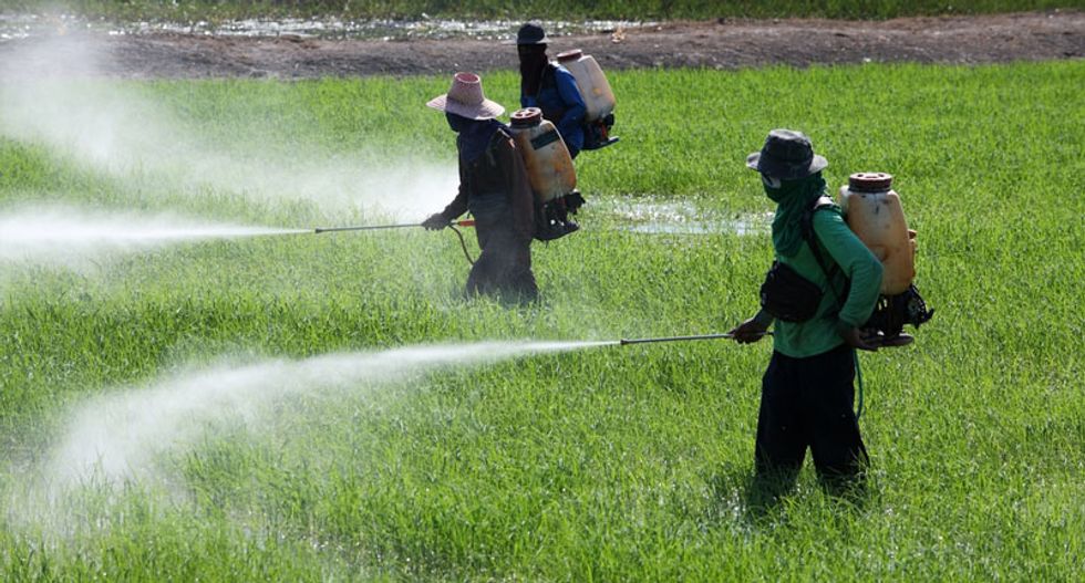 Five-decade-long study links pesticide DDT to higher breast cancer risk