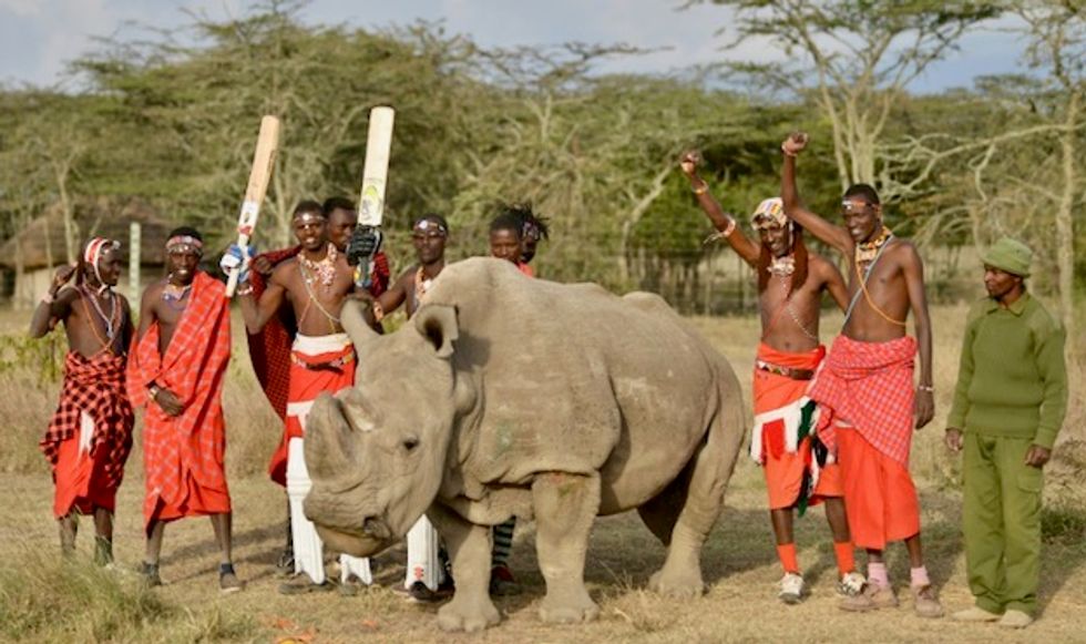 Scientists create embryos, hope to save near-extinct rhino