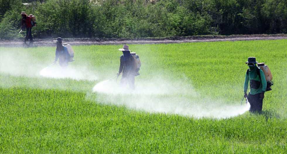 Corporations can legally put carcinogens in our food without warning labels -- here's why