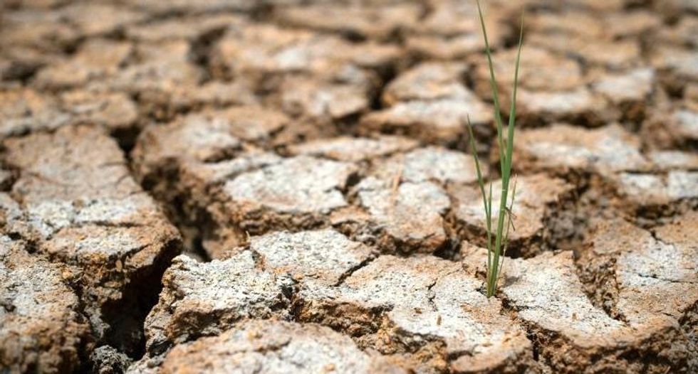 Earth's degradation threatens major health gains: study