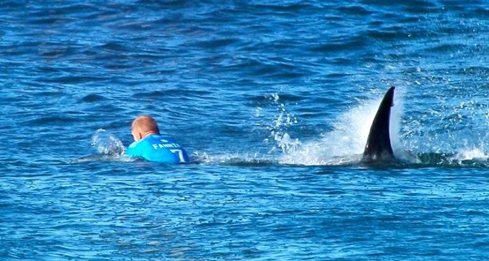 WATCH: Surf pro fights off South Africa shark attack in terrifying TV footage