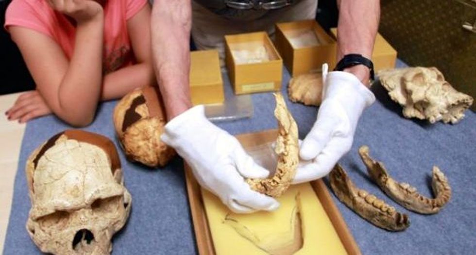 French teen finds 560,000 year-old tooth: researcher
