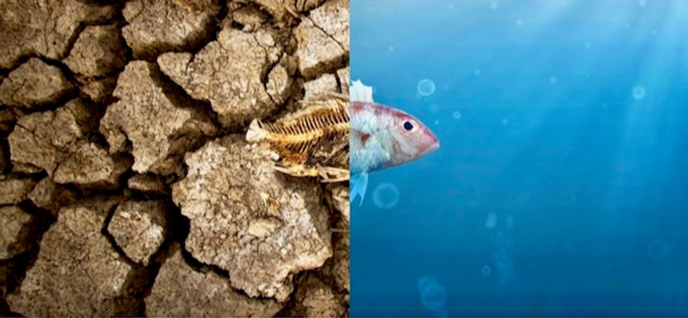 Climate change: ‘We’ve created a civilisation hell bent on destroying itself – I’m terrified’, writes Earth scientist