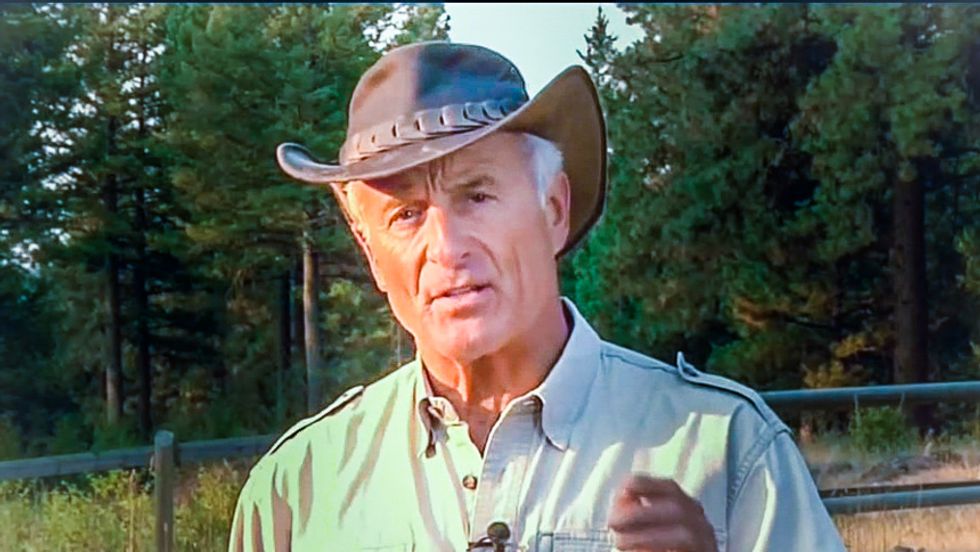 Animal expert Jack Hanna calls for jail time for killer of Cecil the lion: 'Something has to happen here'