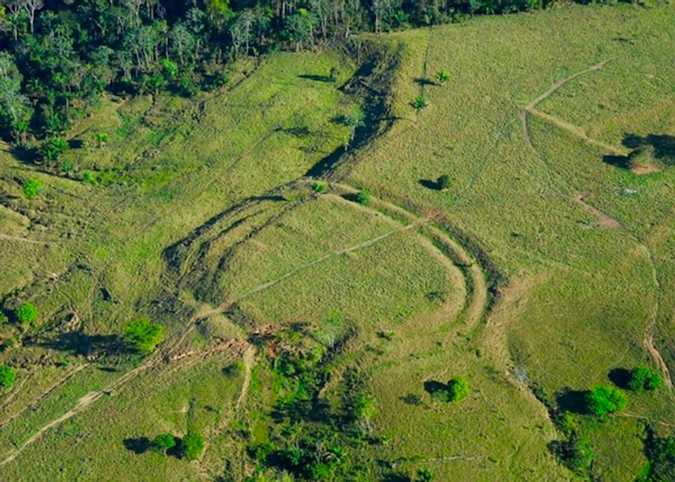 'Alarming': Tropical forests in shift from carbon sponge to carbon source