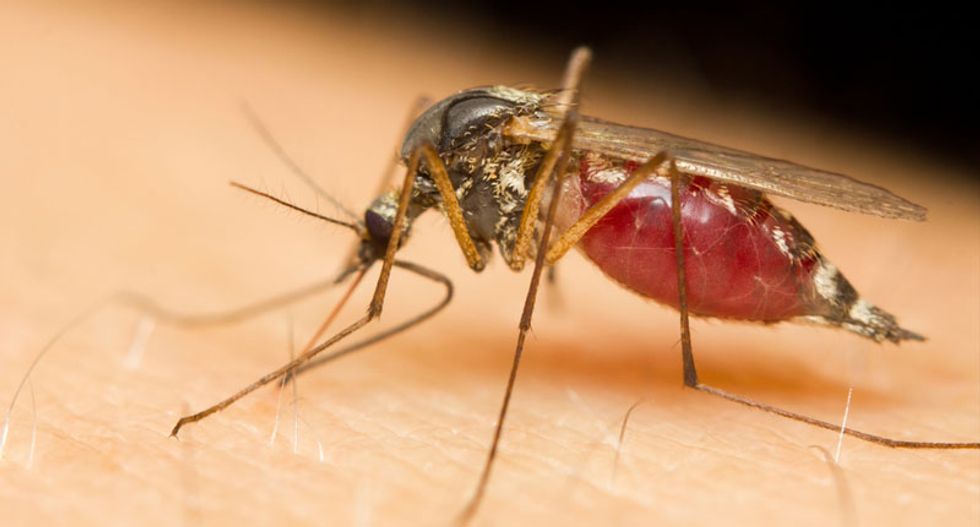 From complacency to crisis: Can America cope with a resurgence of tropical disease?