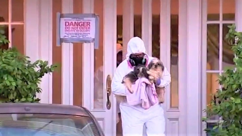 Cops rescue over 100 dogs from pro-Trump organizer's 'poop-filled' multi-million dollar house