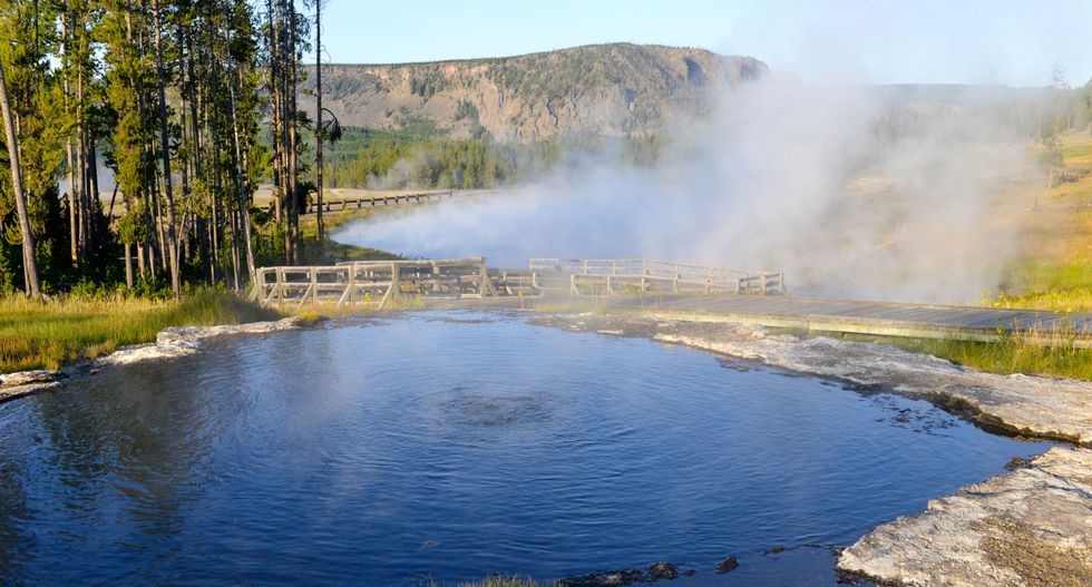 Hiker burned, two dogs die after leaping into Idaho hot springs