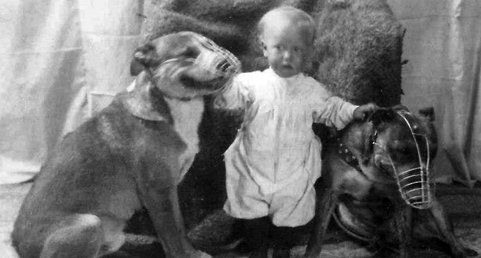 Pitbulls used to be considered the perfect 'nanny dogs' for children -- until the media turned them into monsters