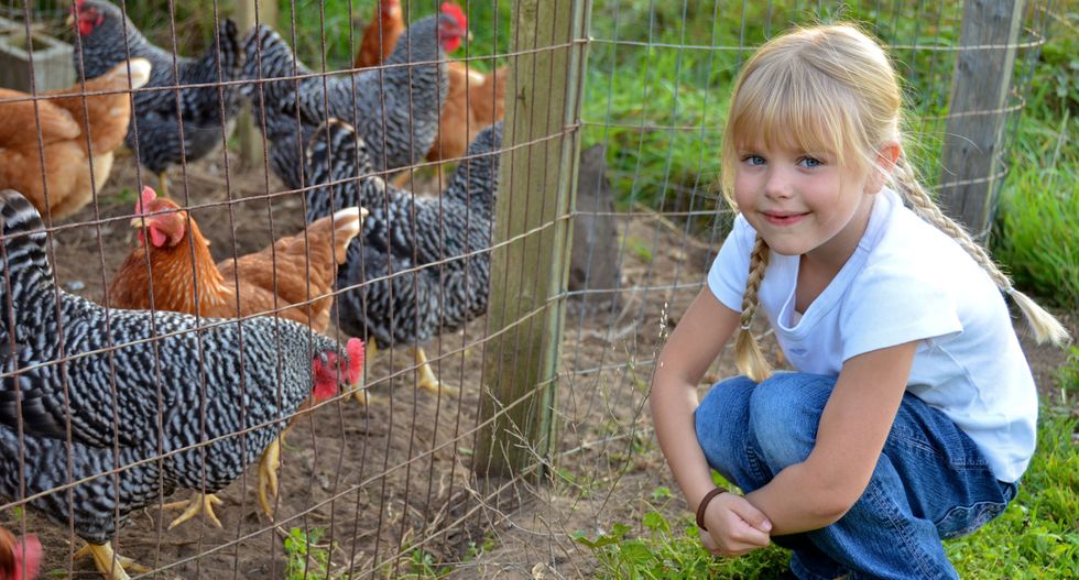 Confirmed: Farm dust protects kids from developing asthma and allergies
