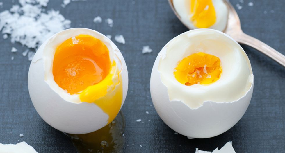 US-backed egg lobby targeted food bloggers, celebrity chef in effort crush anti-egg vegan start-up: report