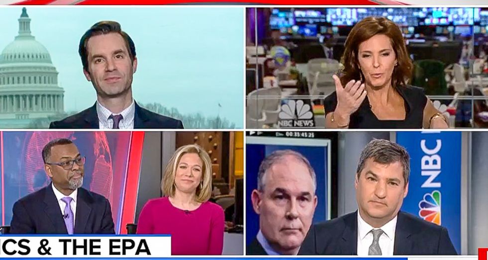 ‘Grifters gonna grift’: Scott Pruitt gets annihilated by Stephanie Ruhle's MSBNC panel for corruption at the EPA