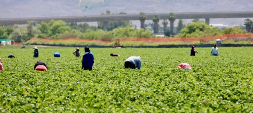 Convicts are returning to farming – anti-immigrant policies are the reason