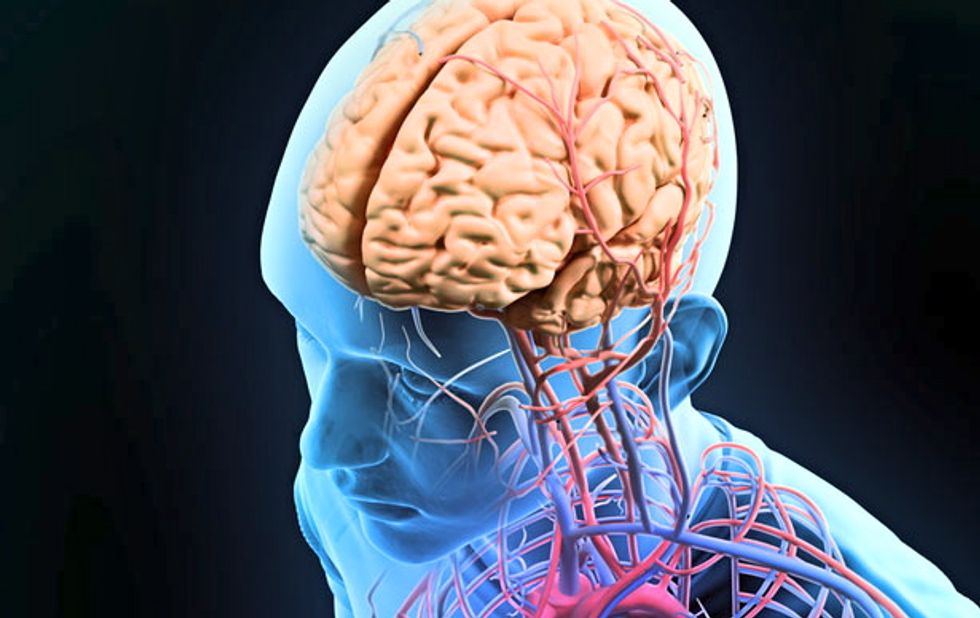 When you’re grateful, your brain becomes more charitable