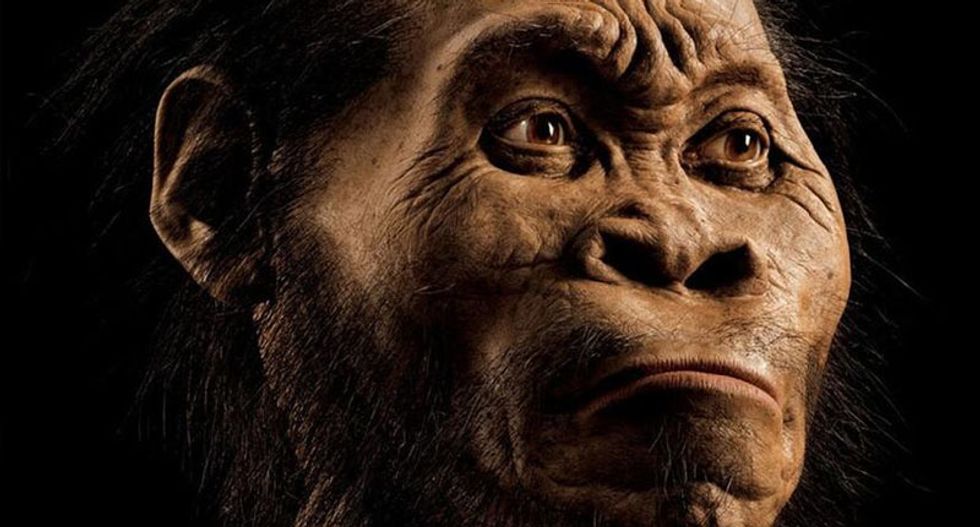 'I'm no grandchild of any ape': New human ancestor found in South Africa dismissed as a racist conspiracy