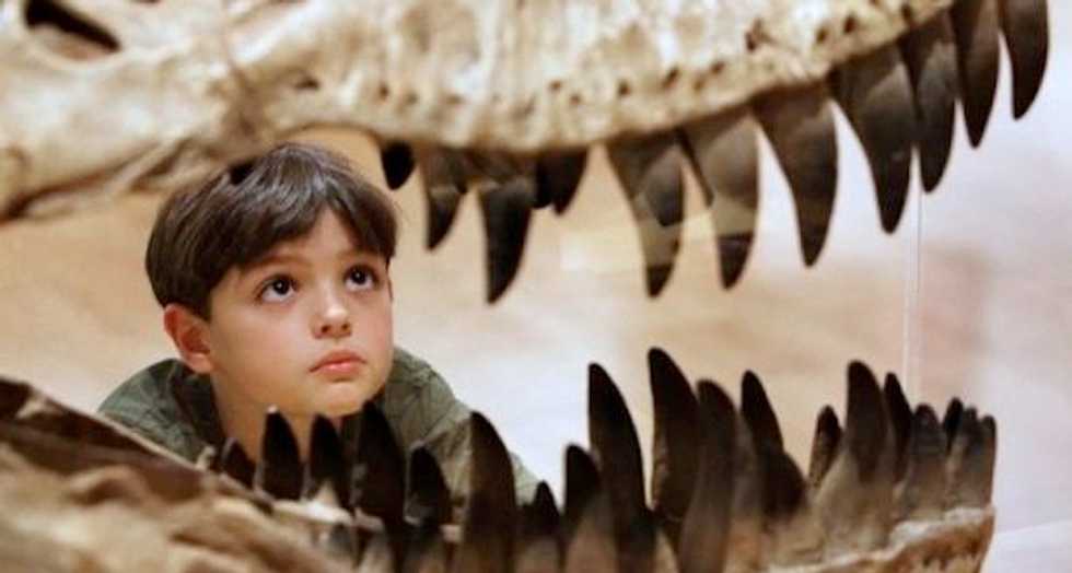 Argentine researchers find distant Tyrannosaurus relative
