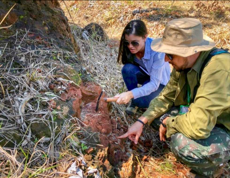 Desert-dwelling carnivorous dinosaur found in Brazil