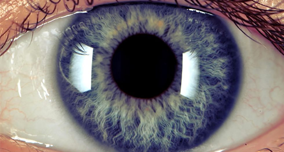 Potential treatment for eye cancer using tumor-killing virus