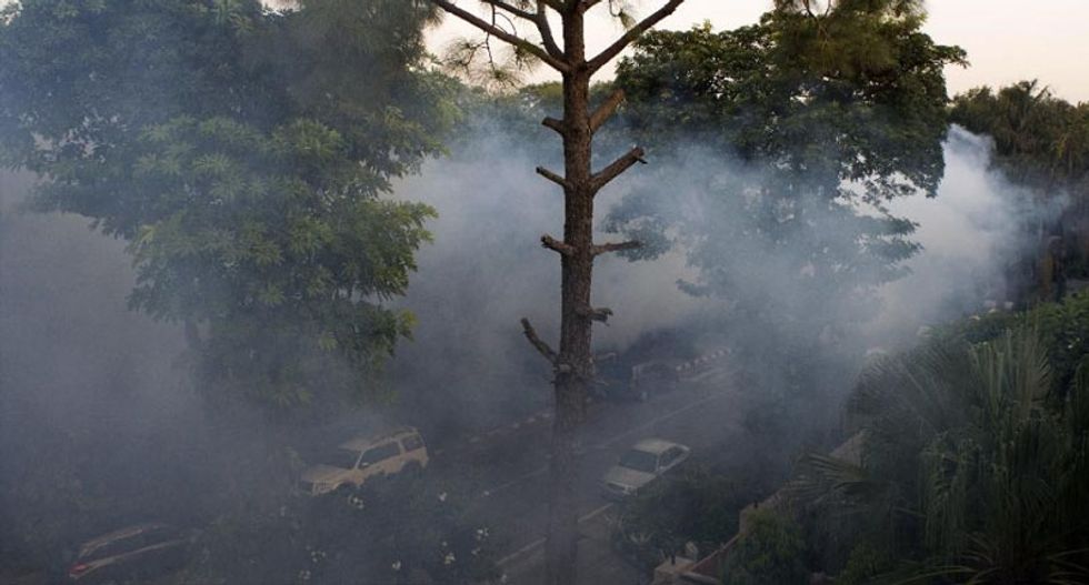 El Nino could spark large-scale dengue fever epidemic